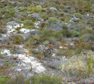 Kap der Guten Hoffnung