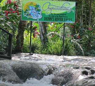 Dunns River Wasserfälle