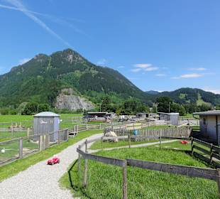 Blick auf das Tierparadies und den Grünten