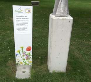 Skulpturenpfad