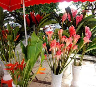 Der Marché aux Fleurs in Pointe-à-Pitre