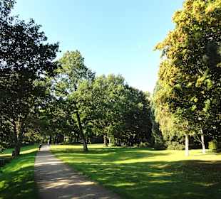 Spaziergang durch Knoops Park