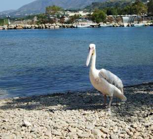 Am Rande des kleinen Hafens von Georgioupoli