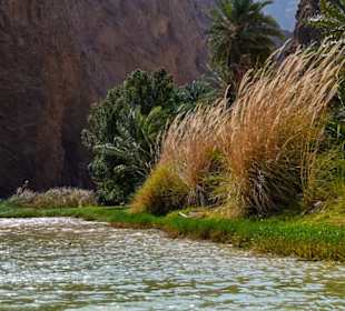 Am Wadi Shab