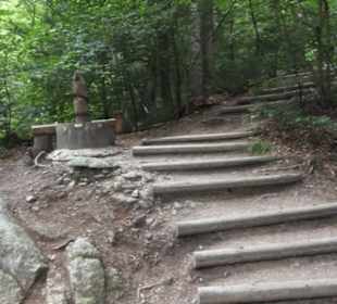 Natur-Hochseilgarten Triberg