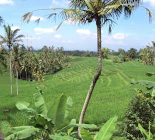 Tief in balinesichen Insel
