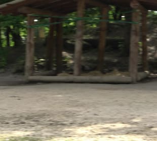Zoo Heidelberg