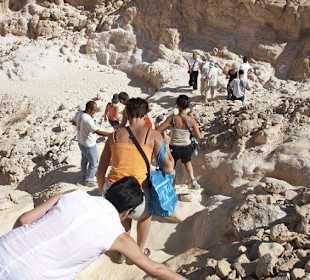 Auf dem Weg nach Unten...