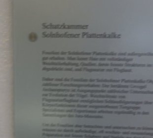 Jura-Museum