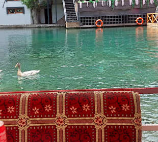 Dim Çayı Göl Piknik