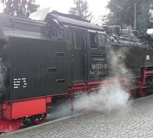 Halt in Drei Annen Hohne