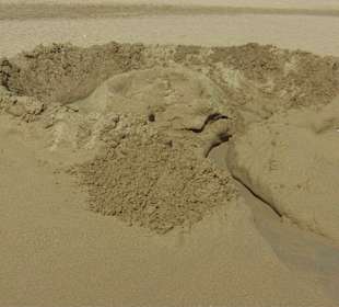 Alles Bauwerk von kleinen und großen Architekten