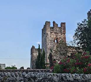 Lazise Scaligo Scaligero