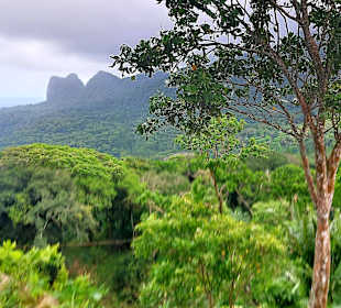 Parque Natural Obô do Príncipe