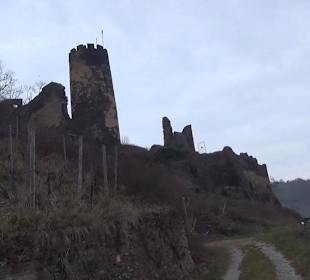 Burg Fürstenberg