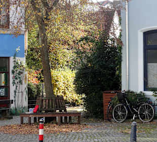 Herbstspaziergang durch das Ostertor-Viertel