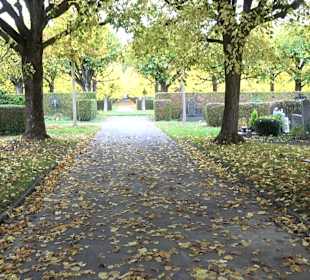 Hauptfriedhof Friedrichshafen