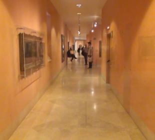 Museo Thyssen-Bornemisza