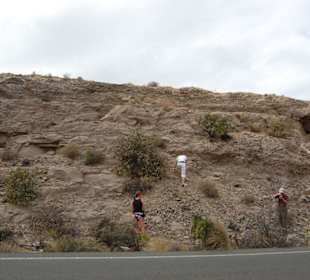 Auf dem Weg der Inselrundfahrt - Rauf auf den Berg