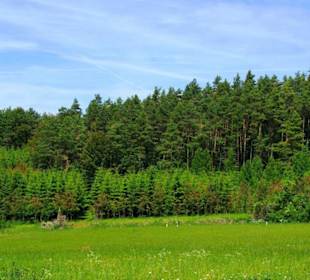 Wanderung zum Bärenfels