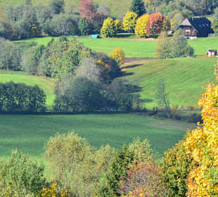 Wandern Bernau