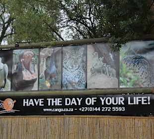 Cango Wildlife Ranch