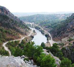 Bild vom Card Partner