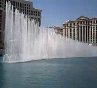 Wassershow