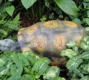 Raffeiner Orchideenwelt