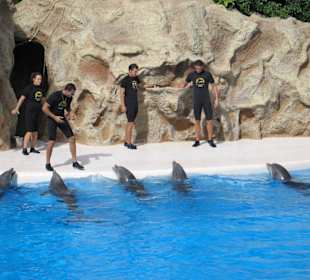Loro Parque