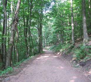 Auf dem Weg zur Landauer Hütte