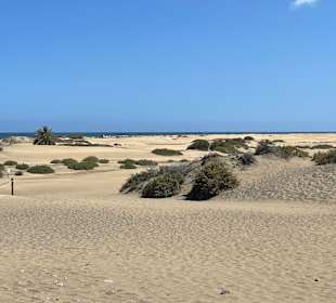 Dünen von Maspalomas