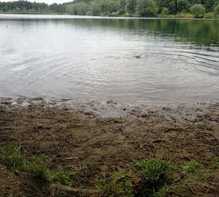 Birkensee im August