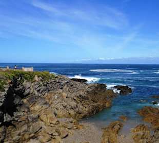 Fahrt entlang der Küste