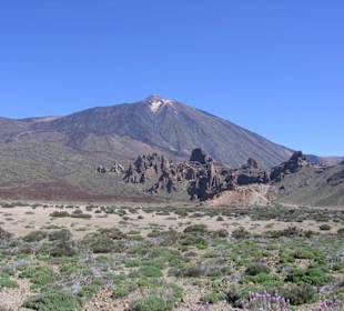 Blick zum Teide