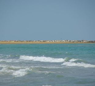 Strand von Bibione 06-2010