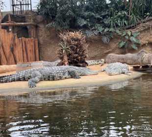 Zoologischer Garten Köln