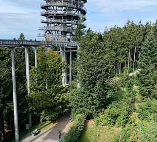 Waldwipfelweg St Englmar/Maibrunn