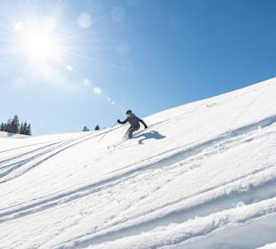 Skigebiet Winklmoosalm/Steinplatte