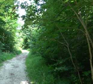 Waldlehrpfad St. Johann