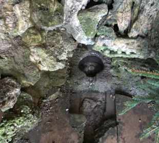 Lourdesgrotte Sonderbuch