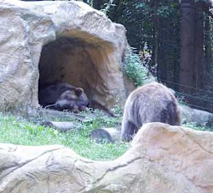 WildparkImpression September 2013