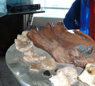 Sindbad Submarine - Wartebereich