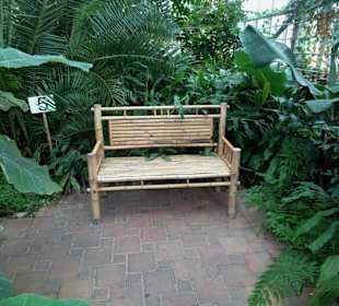 Rundgang durch das Tropenhaus Klein Eden