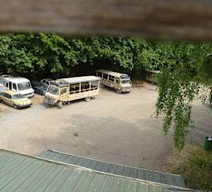 Abgeparkte Safari Busse