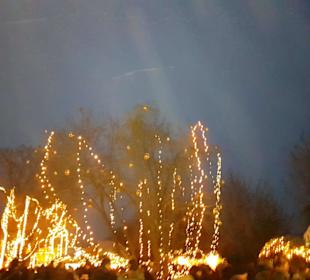 Der Baumschmuck am Gelände