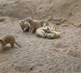 Zoopark Erfurt