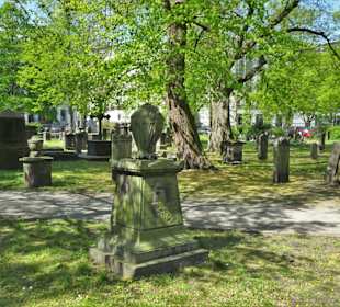 Impressionen vom Gartenfriedhof Hannover