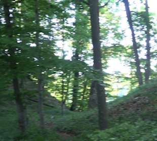 Burgruine Andeck Talheim