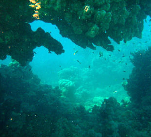 Hotel Lahami Bay Hausriff